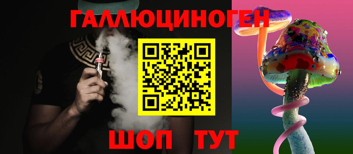 Псилоцибиновые грибы Psilocybine cubensis Балашов
